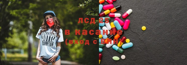 дурь Каменка