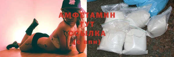 дурь Каменка