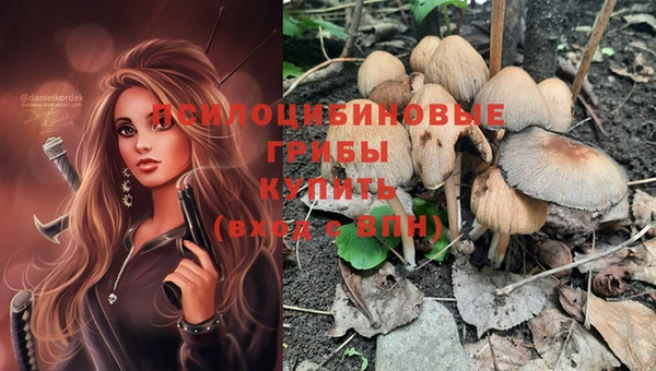 COCAINE Каменногорск
