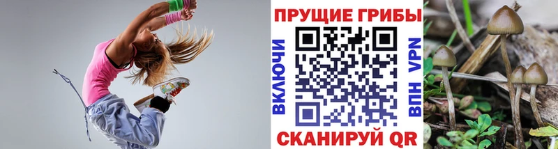 купить наркотик  Обнинск  Псилоцибиновые грибы Psilocybe 
