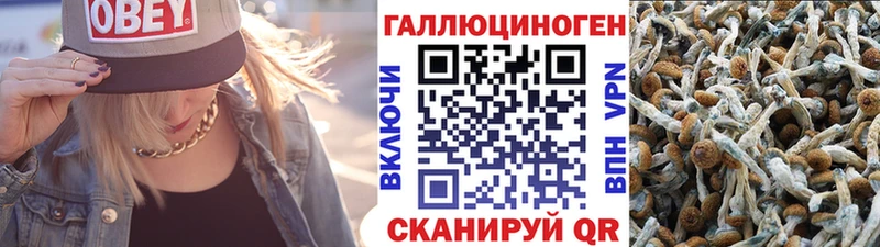 Псилоцибиновые грибы Magic Shrooms Обнинск